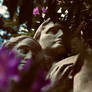 In Your Arms