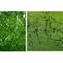 Greens of June