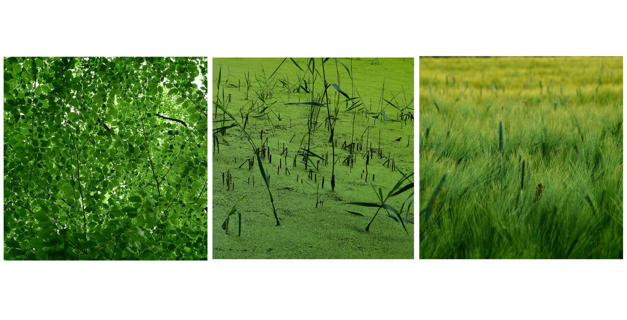 Greens of June