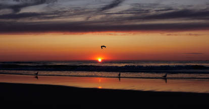 Venice Beach