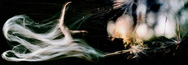 Motion Residue