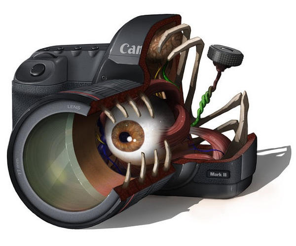 Anatomy of Digital Camera and Gadget by AdamGadgets on DeviantArt