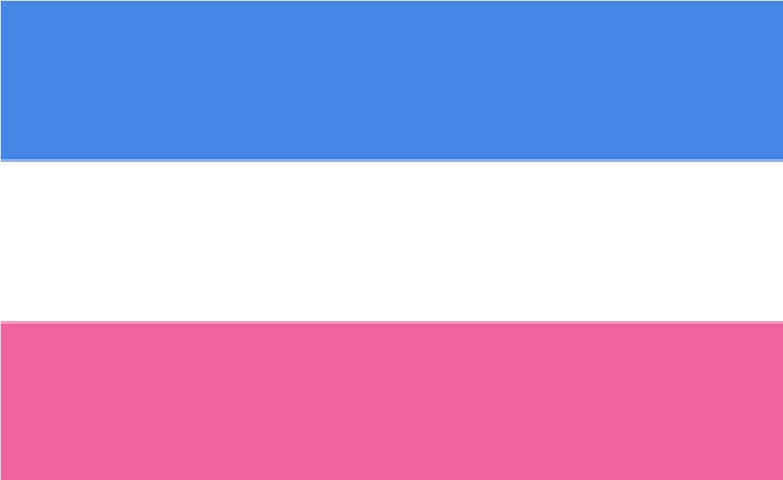 Heterosexual / Straight pride flag [5]