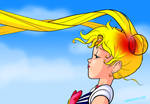 Sailor Moon by Millus