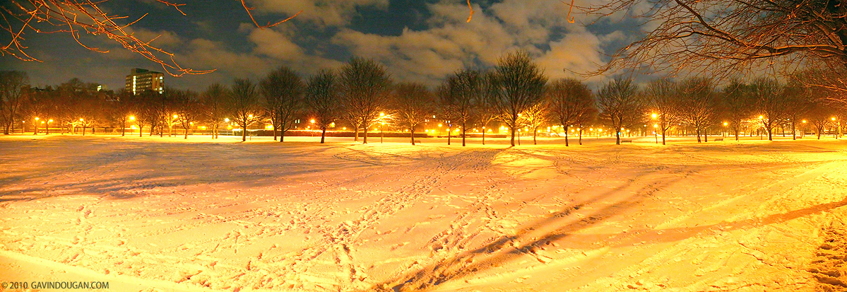 Meadows Winter Panorama