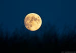 Meadow Moon by gdphotography