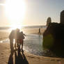 cannon beach no. 3