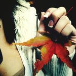 autumn leaves by mollytappedthis