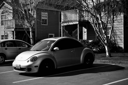 Turbo S Beetle