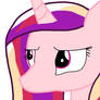 2014worried cadence