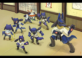 Lucario's training