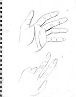 Hand Studies 1