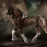 Trotting in the paddock