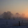 Sonnenaufgang im Winter 01