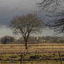 Landschaft im Maerz Ausschnitt