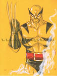 Classic Wolverine 40 by Hodges-Art