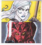 Jarael and Talon 2 cards by Hodges-Art
