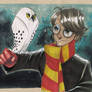 Harry and Hedwig