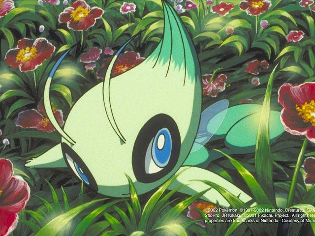 I am a Celebi