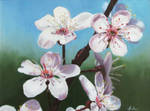 Cherry blossom (oils) by Ansheen