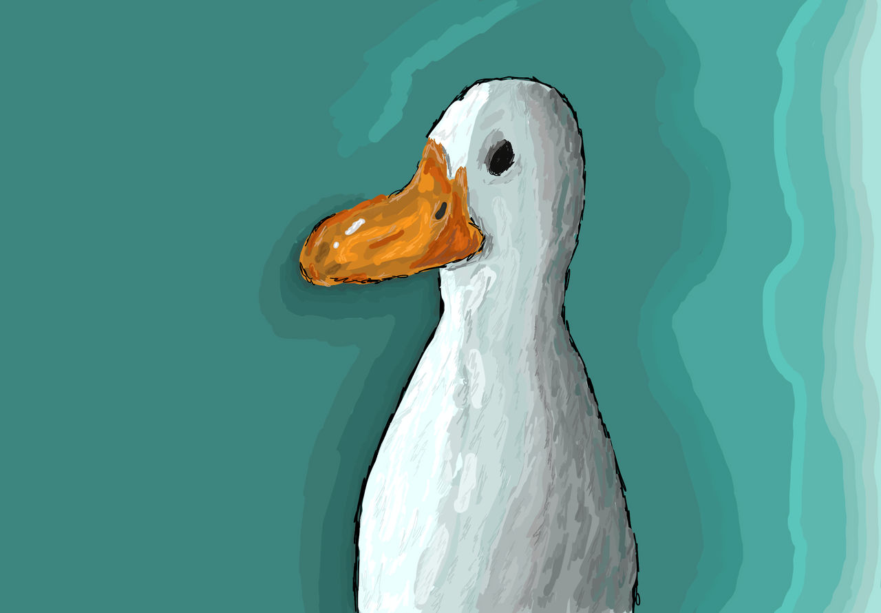 Duck Riding Deviantart Duck by Suparattonh on DeviantArt