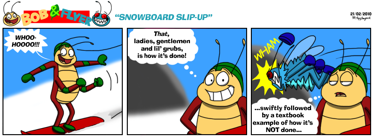 B'n'F - Snowboard Slip-Up