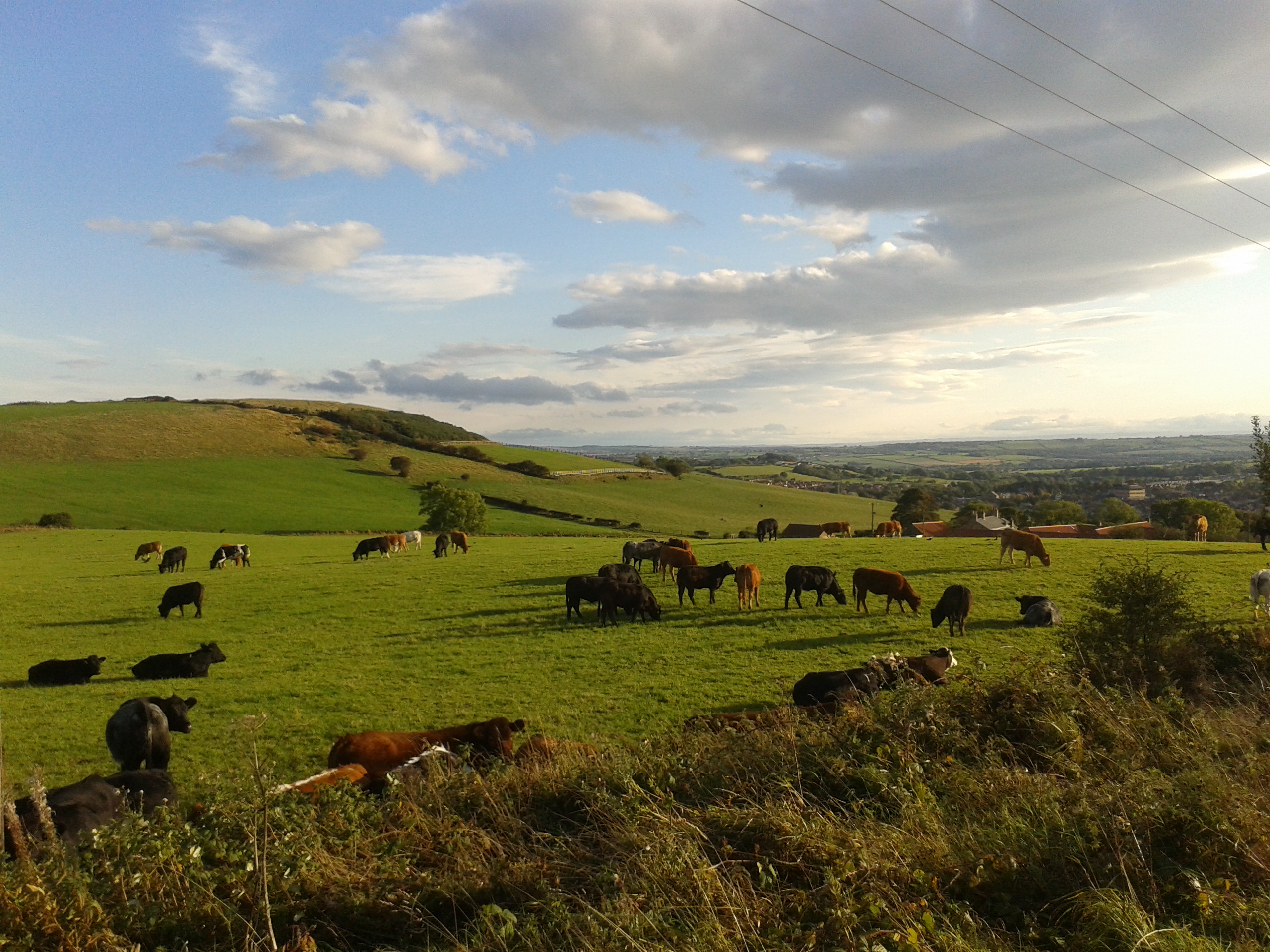 Deerness Valley Way - 25/09/2014