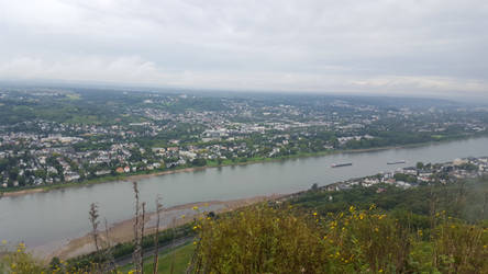 Rhine River 2