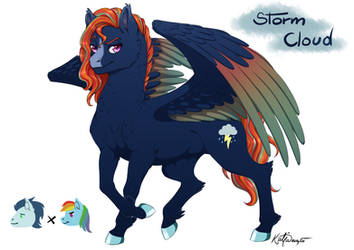 MLP NextGen - Storm Cloud