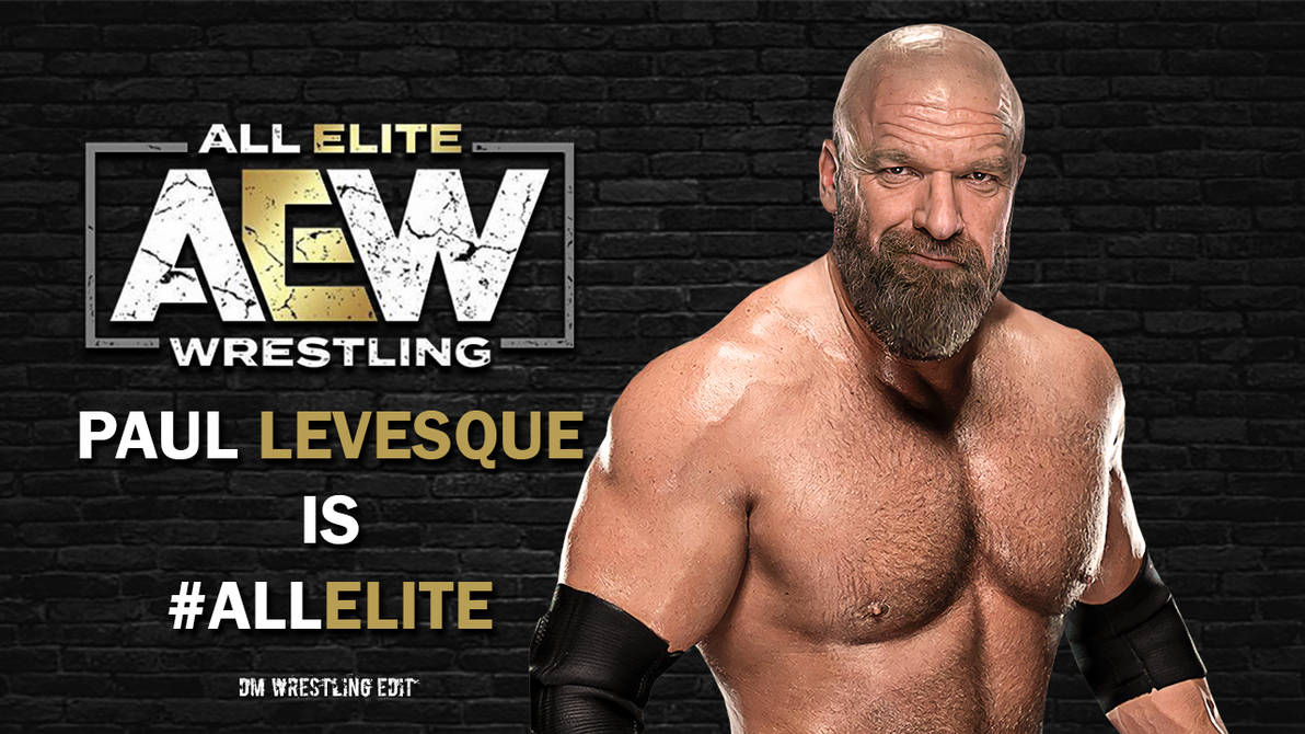AEW IS ALL ELITE 2 by DRBL88 on DeviantArt