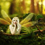 A Faery Song