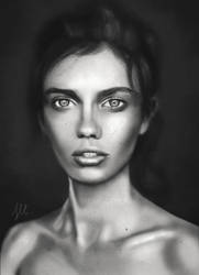 Black and White Photo Study.