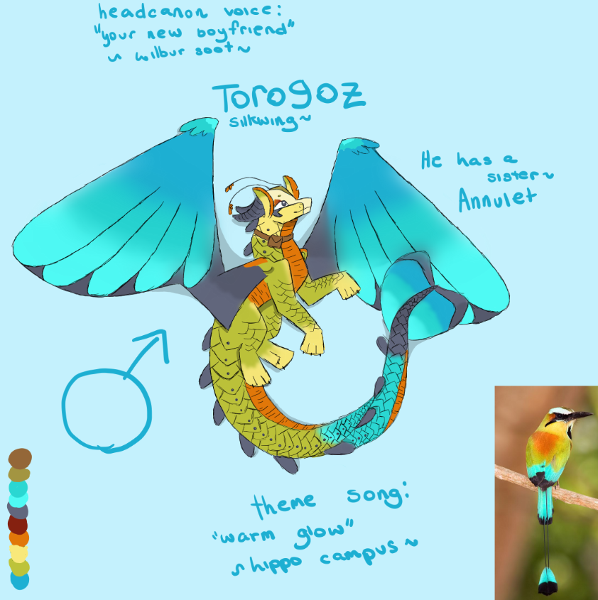 Torogoz Vector torogoz by Aries1502 on DeviantArt