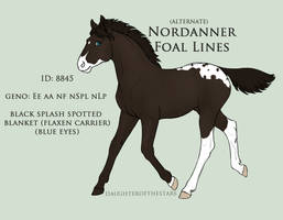 8845 Nordanner Foal Design