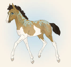 3667 Foal Design