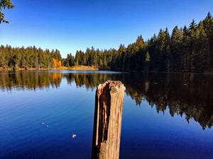 Etang de la Gruere 1 by gerberc