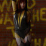 The Second Silk Spectre