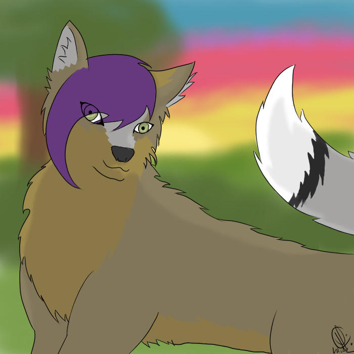 Razor at Dawn by RaccoonTailsBite533 on DeviantArt