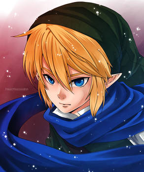 :Link: Hyrule Warriors