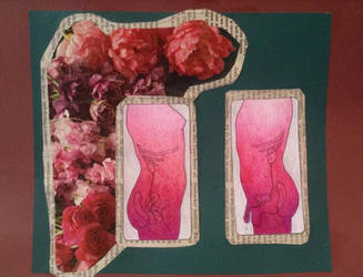 Anatomy collage #2: Urinary System