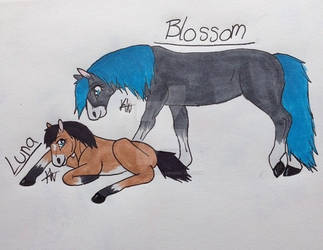 Blossom and Luna