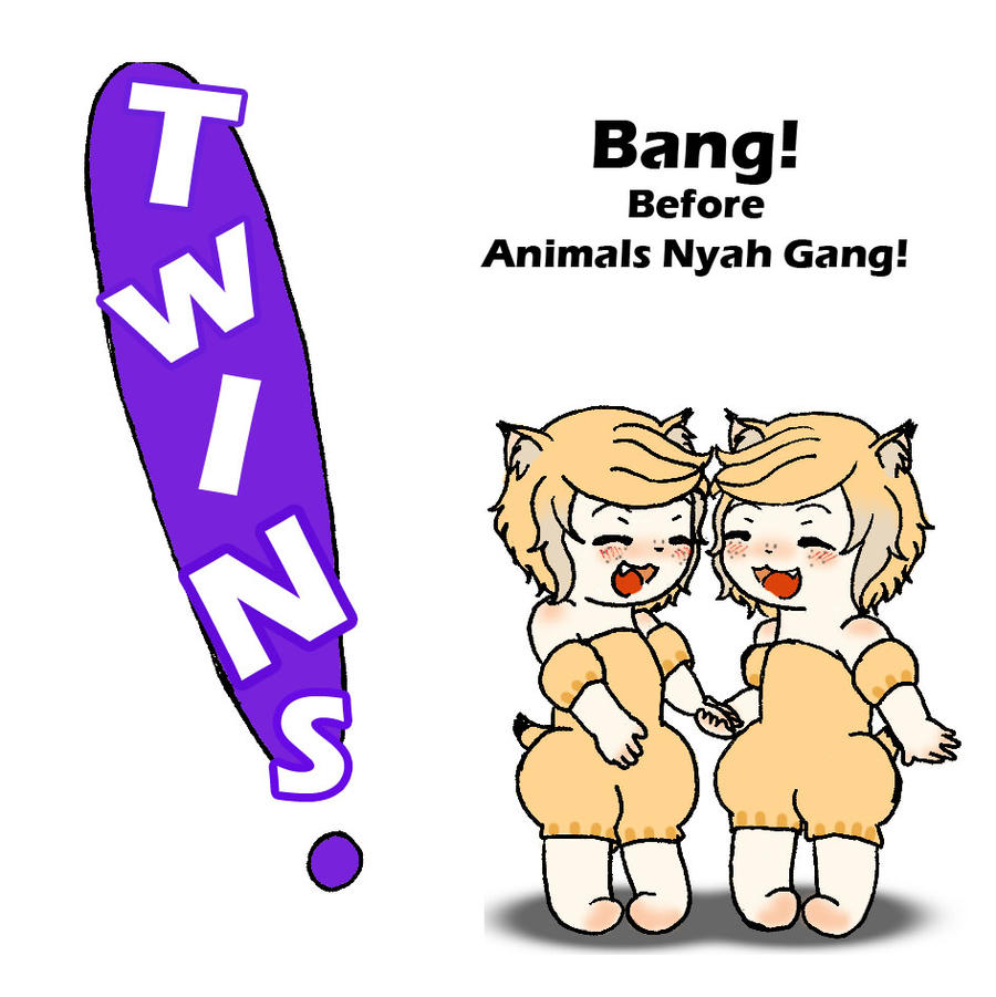 AN- Twins Diary: Bang