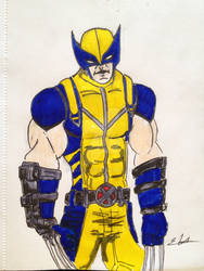 Wolverine part 3