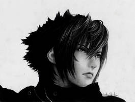 Noctis Lucis Caelum