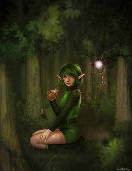 Saria's Secret Place