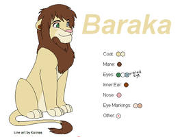 Male Lion - Baraka