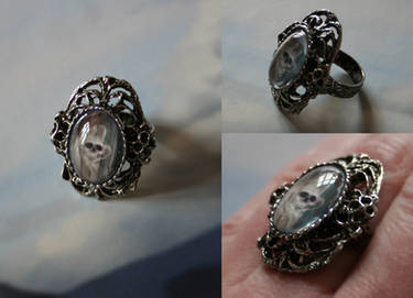 Poisoneous Skull Art Ring