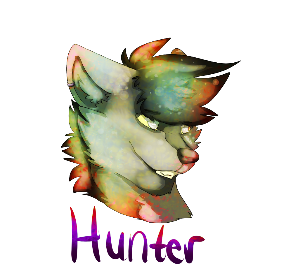 HunterDarkWolf .:COMMISSIONsort.of:.