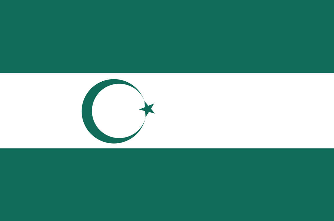 Зелено белый флаг с месяцем. Флаг Дагестана. Альтернативный флаг Дагестана. Шлаг дагисьана. Флаг свободного Дагестана.