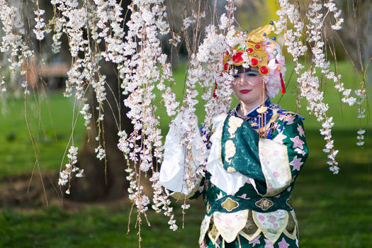 Amongst the blossoms